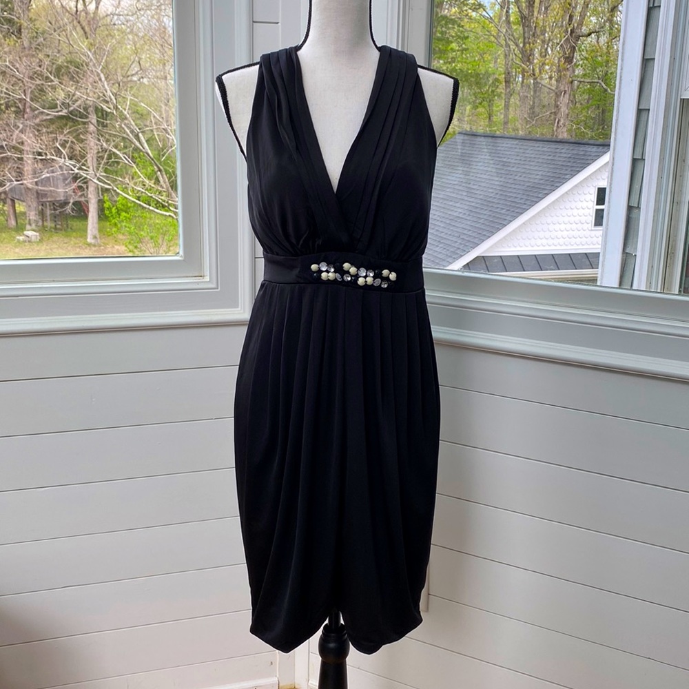 EUC Women’s Roulette Black Dress